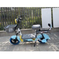 国标电动车成人新款两轮电动自行车48V铅酸电池电瓶车两轮车代步车