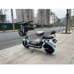 新国标电动车成人新款两轮48V电动自行车锂电池电瓶车双人代步车