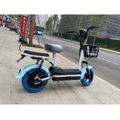 新国标电动车成人新款两轮48V电动自行车锂电池电瓶车双人代步车