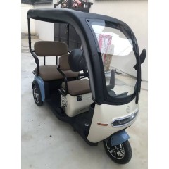 爱玛新款三轮电动车乐维家用长续航高端带棚接送娃孩子