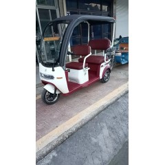 爱玛新款三轮电动车乐维家用长续航高端带棚接送娃孩子