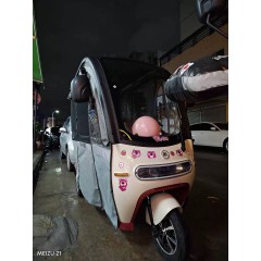 爱玛新款三轮电动车乐维家用长续航高端带棚接送娃孩子