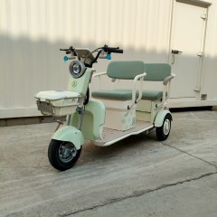 大安力量大安一号休闲国标带棚电动三轮车接送孩子客货两用代步车