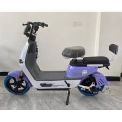 新款电动车成人电瓶车新国标男女士小型电动自行车学生