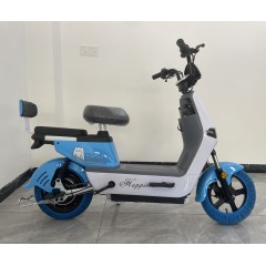 新款电动车成人电瓶车新国标男女士小型电动自行车学生