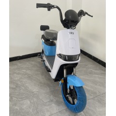 新款电动车成人电瓶车新国标男女士小型电动自行车学生