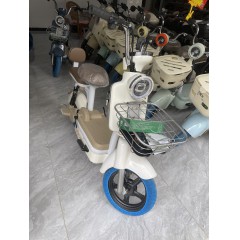 摩登新款国标电动自行车电动成人两轮自行车电瓶车男女士逮捕车