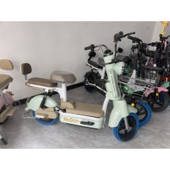 摩登新款国标电动自行车电动成人两轮自行车电瓶车男女士逮捕车