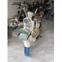 摩登新款国标电动自行车电动成人两轮自行车电瓶车男女士逮捕车