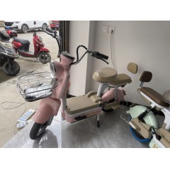 摩登新款国标电动自行车电动成人两轮自行车电瓶车男女士逮捕车