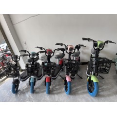 新国标电动车成人新款两轮48V电动自行车锂电池电瓶车双人代步车