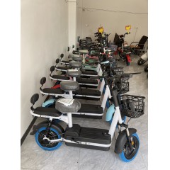 新国标电动车成人新款两轮48V电动自行车锂电池电瓶车双人代步车